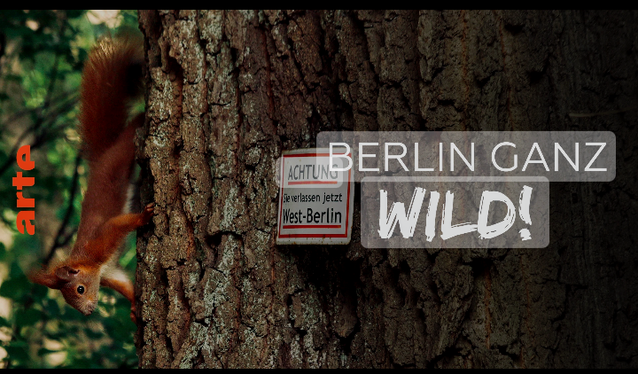 berlin wild